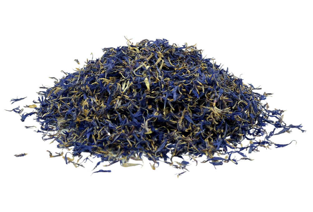 Cornflower, Blue