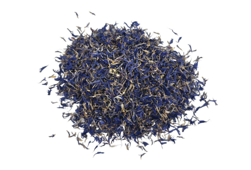 Cornflower, Blue