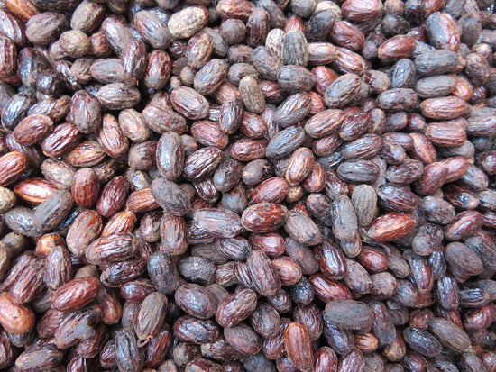 Drying Cocoa Beans